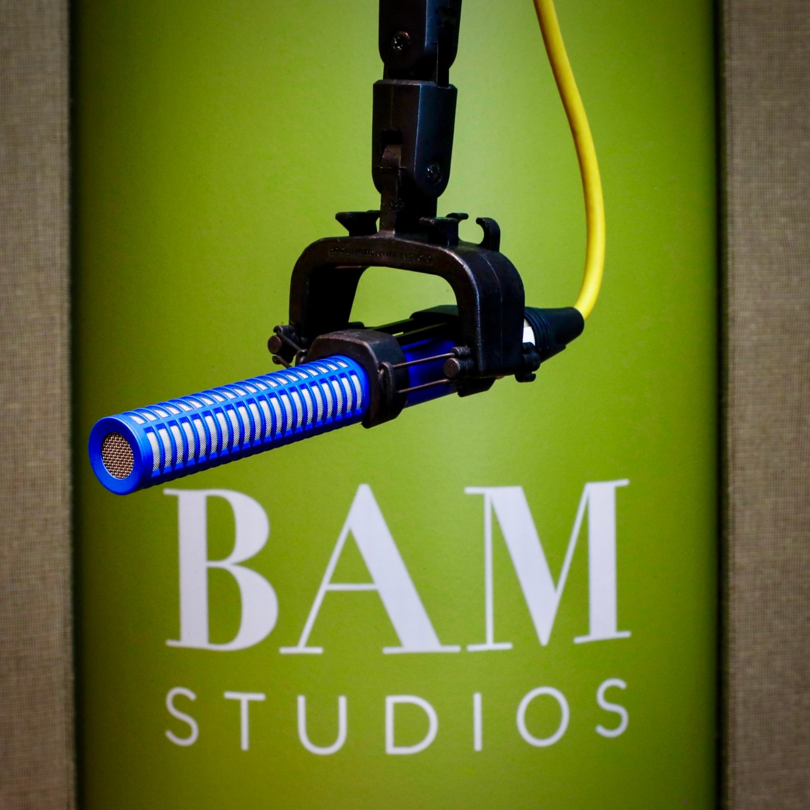A Schoeps shotgun mic in front of the BAM Studios wall panel