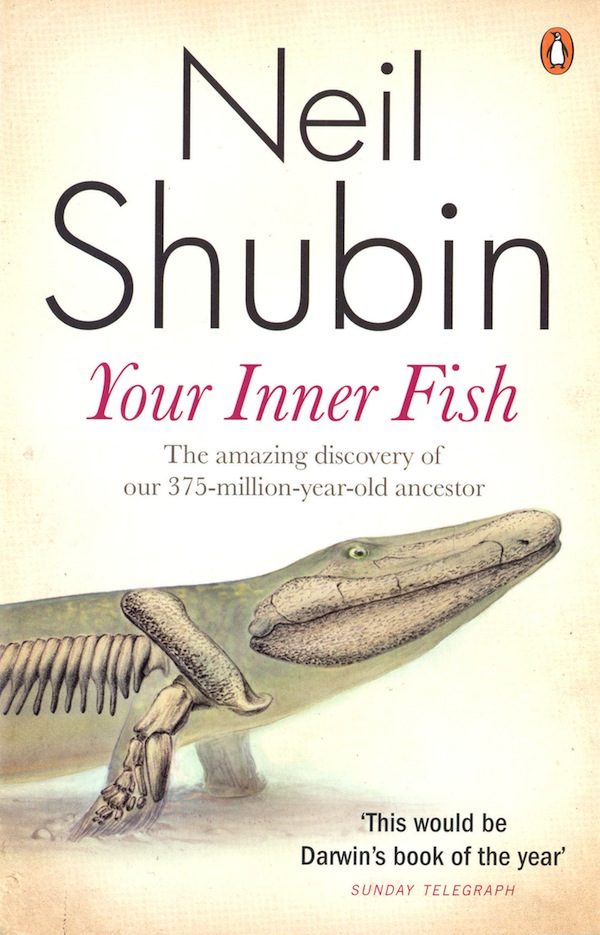 BAM Reels in Our "Inner Fish"!