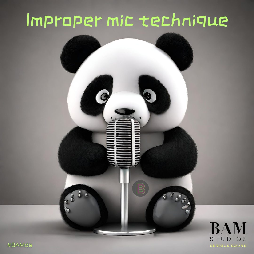 BAMda's audio tips!