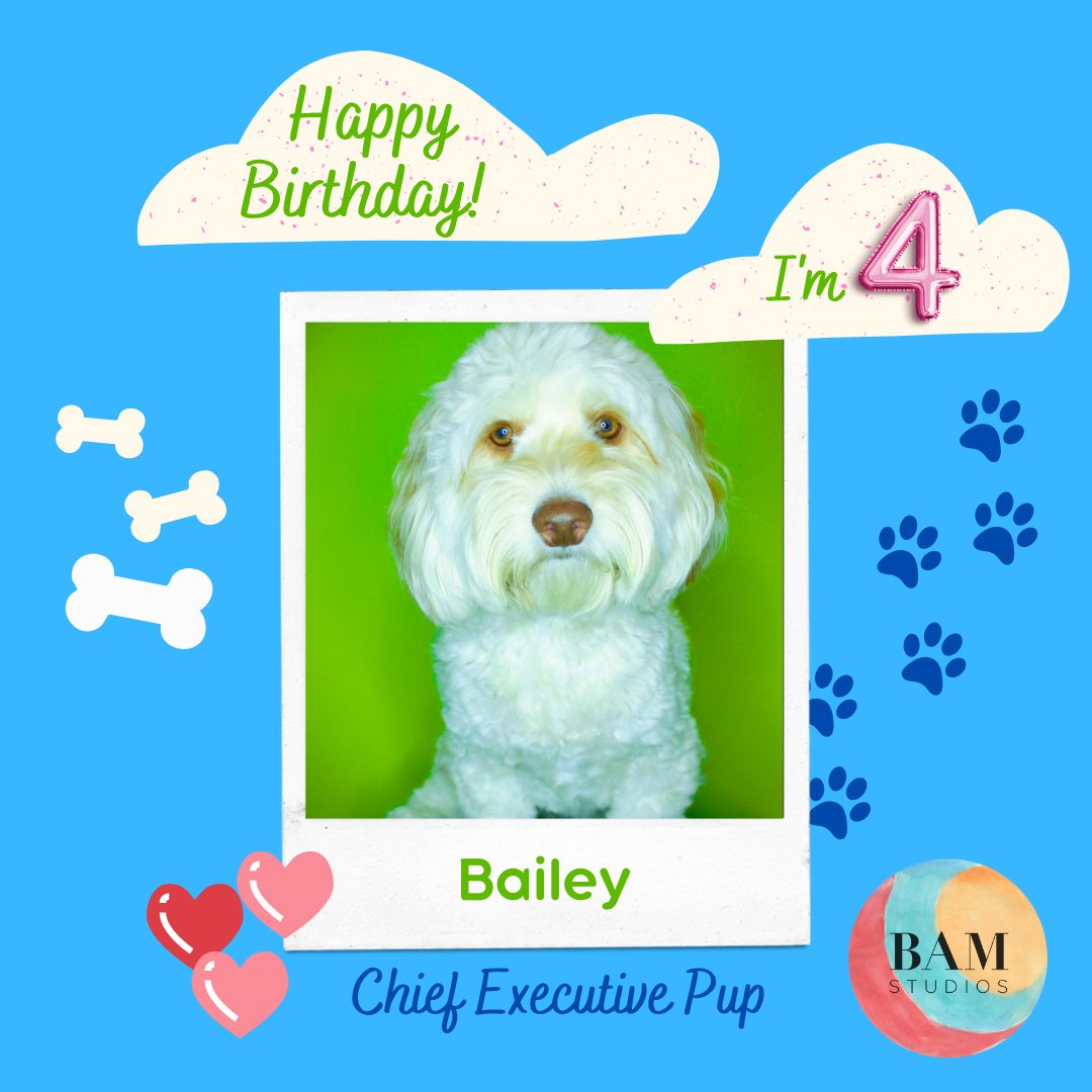 It's Bailey's 4th Birthday Today!
