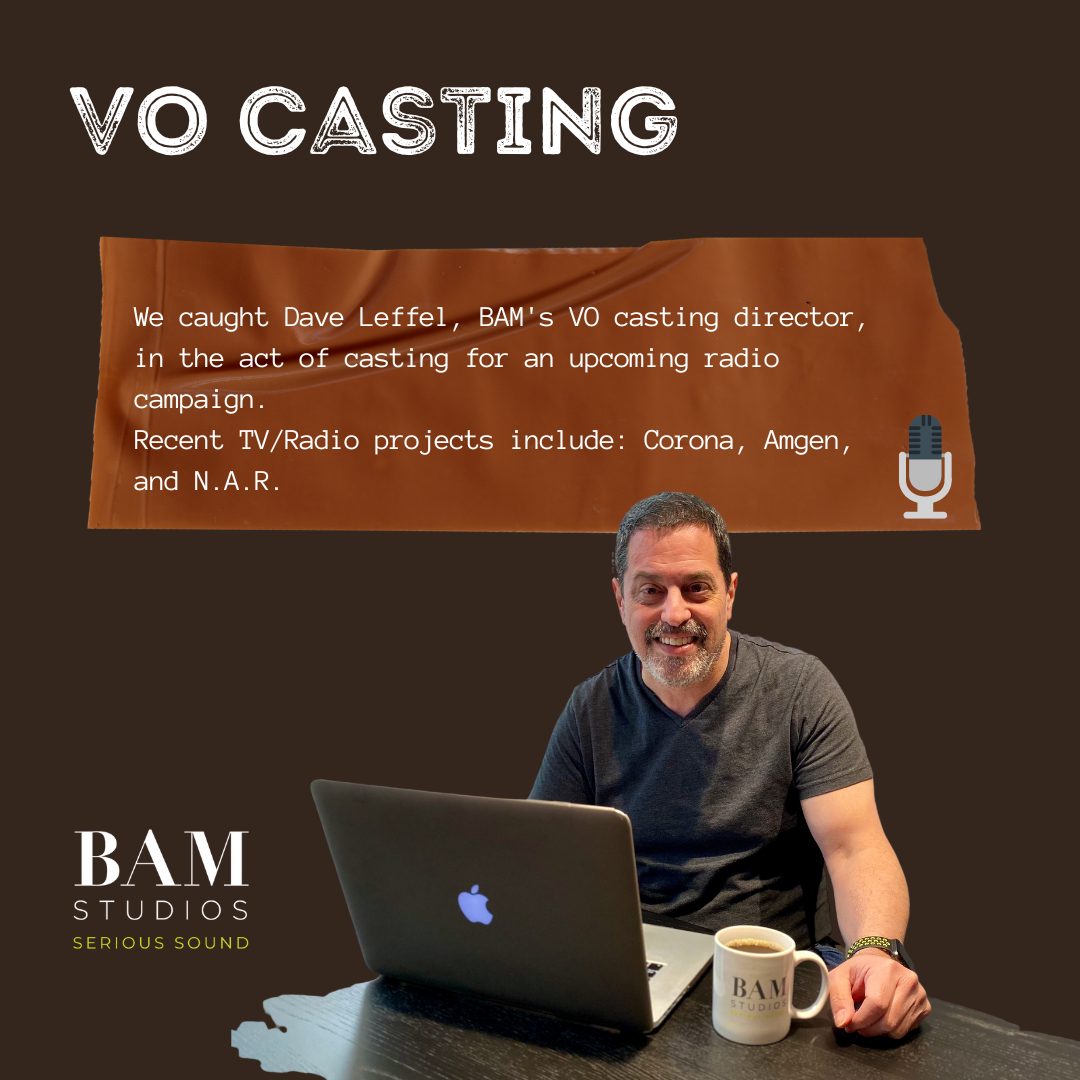 Dave Leffel's busy VO Casting!
