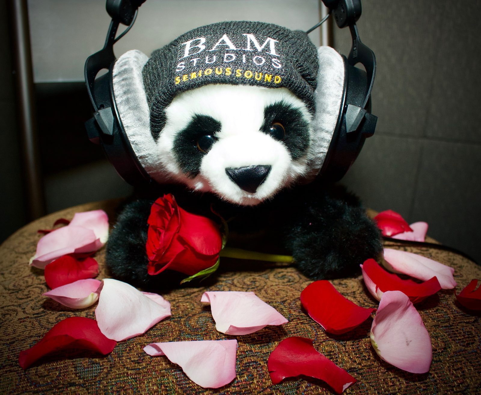 Happy 2018 Valentine's Day!