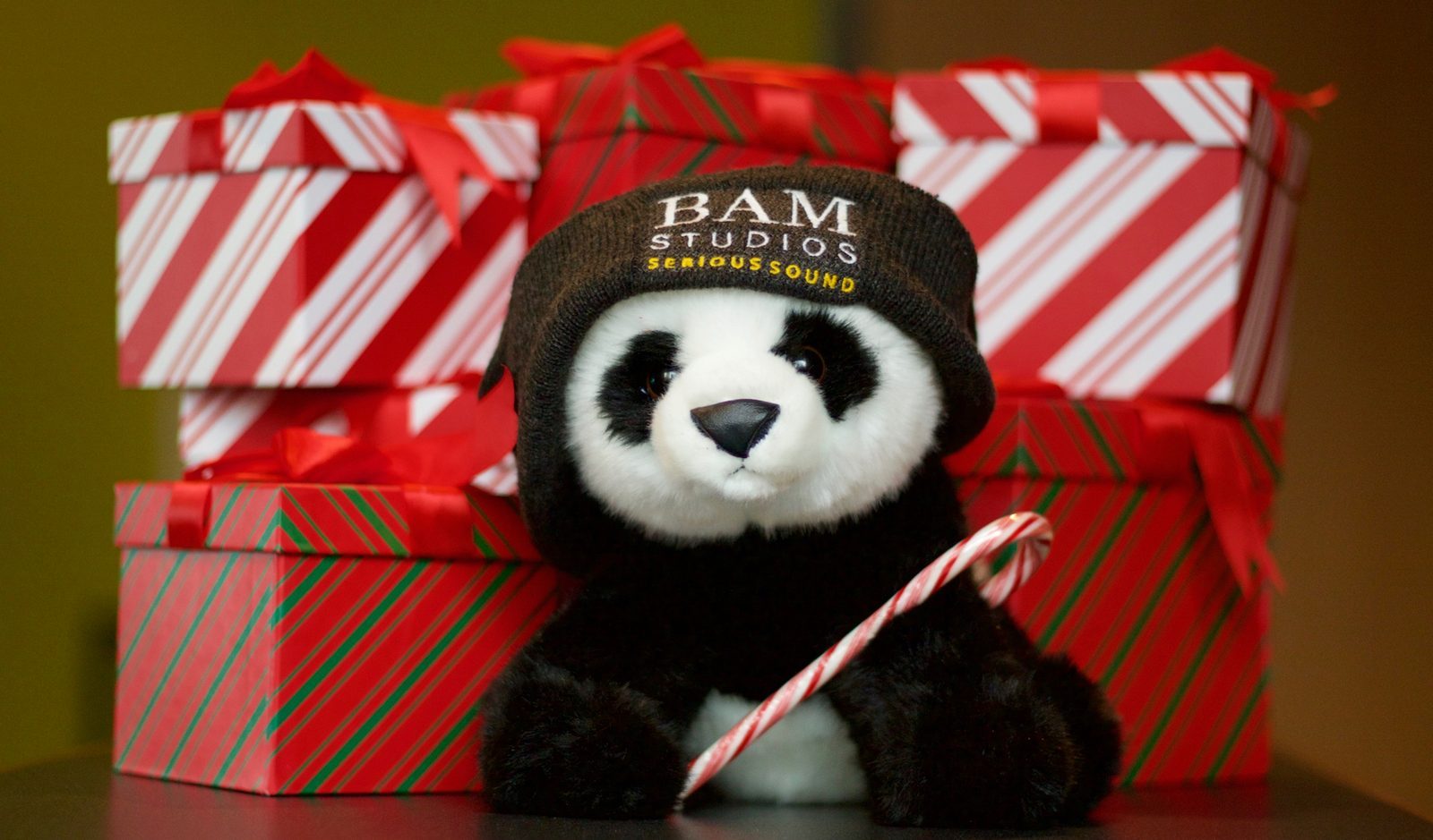 Merry Christmas from BAM!