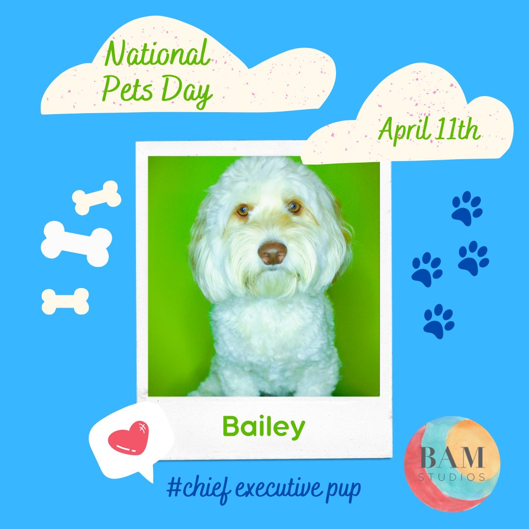 Happy National Pets Day!