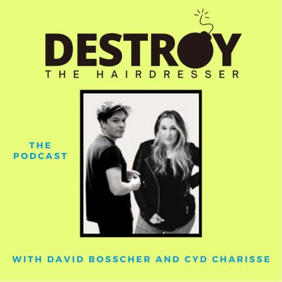 Destroy The Hairdresser — artwork
