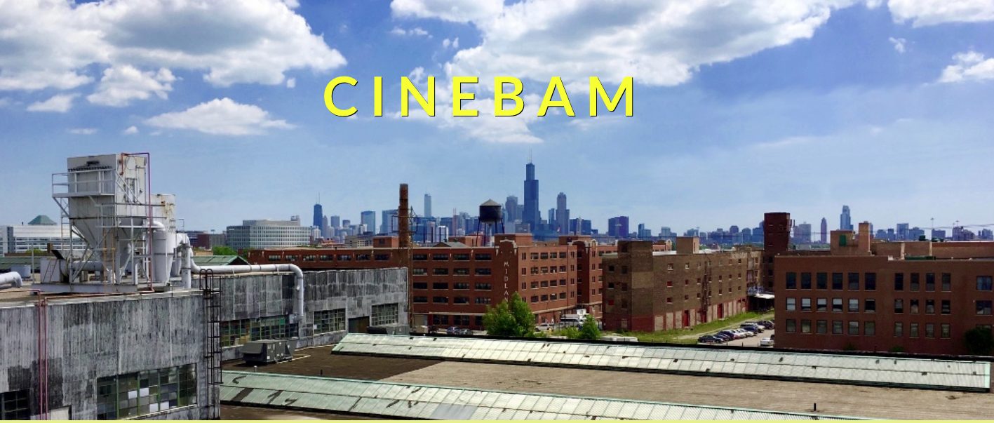 CineBAM celebrates 1 year anniversary!