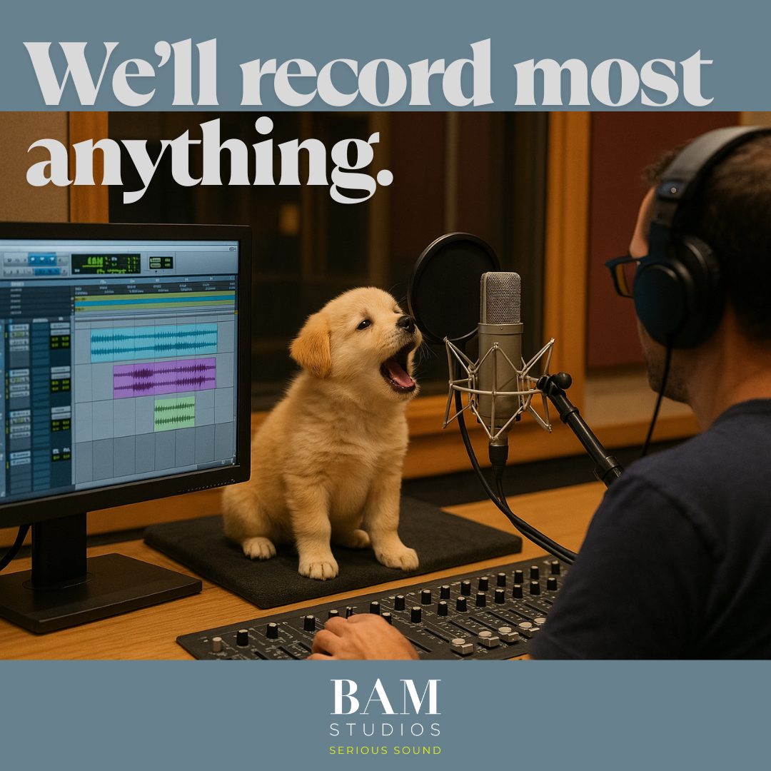 We’ll record most anything!