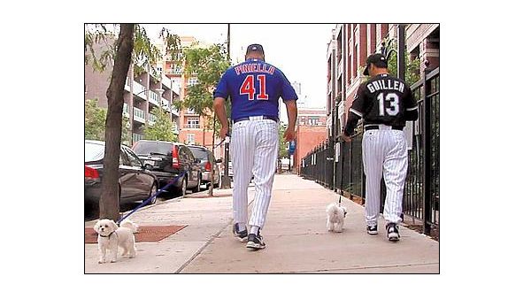 Ozzie Guillen and Lou Piniella Join Forces with Media Nexus and BAM!