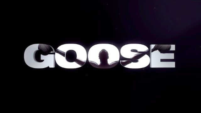 Goose — poster frame